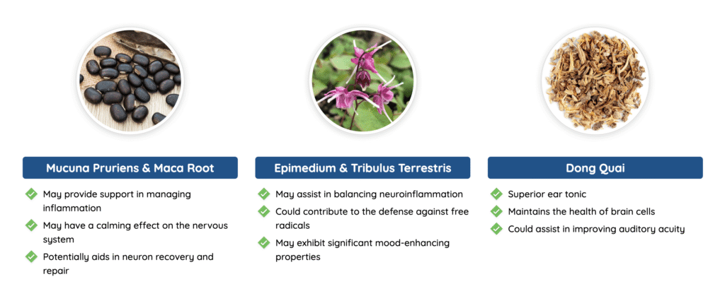 Quietum Plus Ingredients